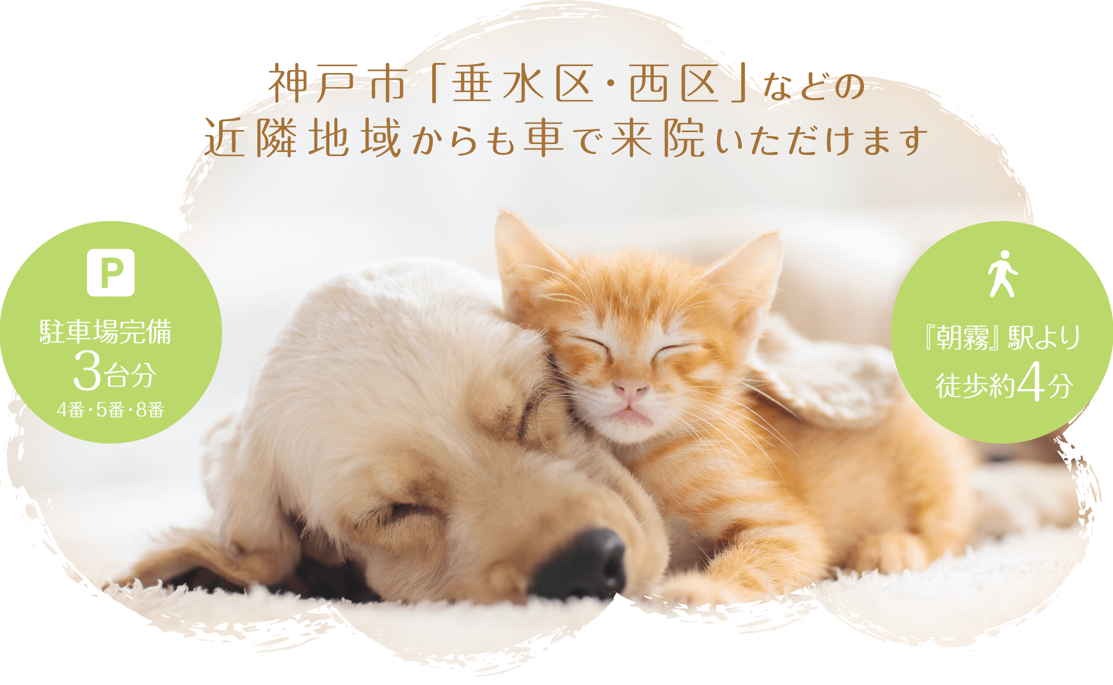 神戸市「垂水区・西区」などの近隣地域からも車で来院いただけます。駐車場完備3台分(4番・5番・8番)。『朝霧』駅より徒歩約4分